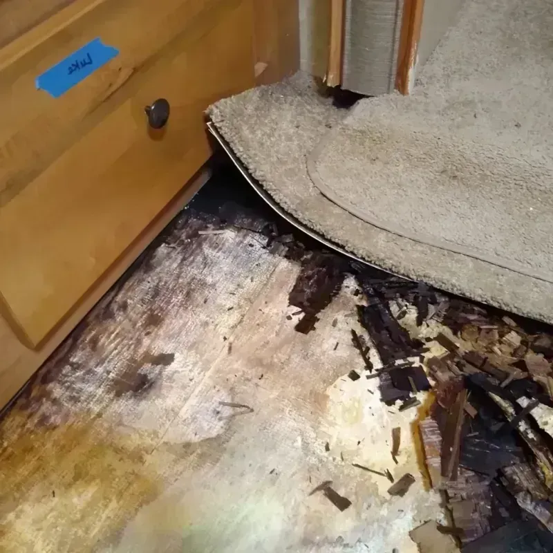 Wood Floor Water Damage in Arenac County, MI